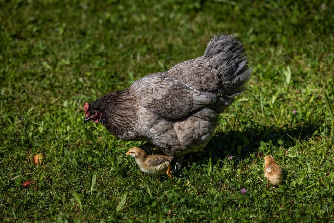 Wassererlehen Bischofswiesen Buitenkant foto