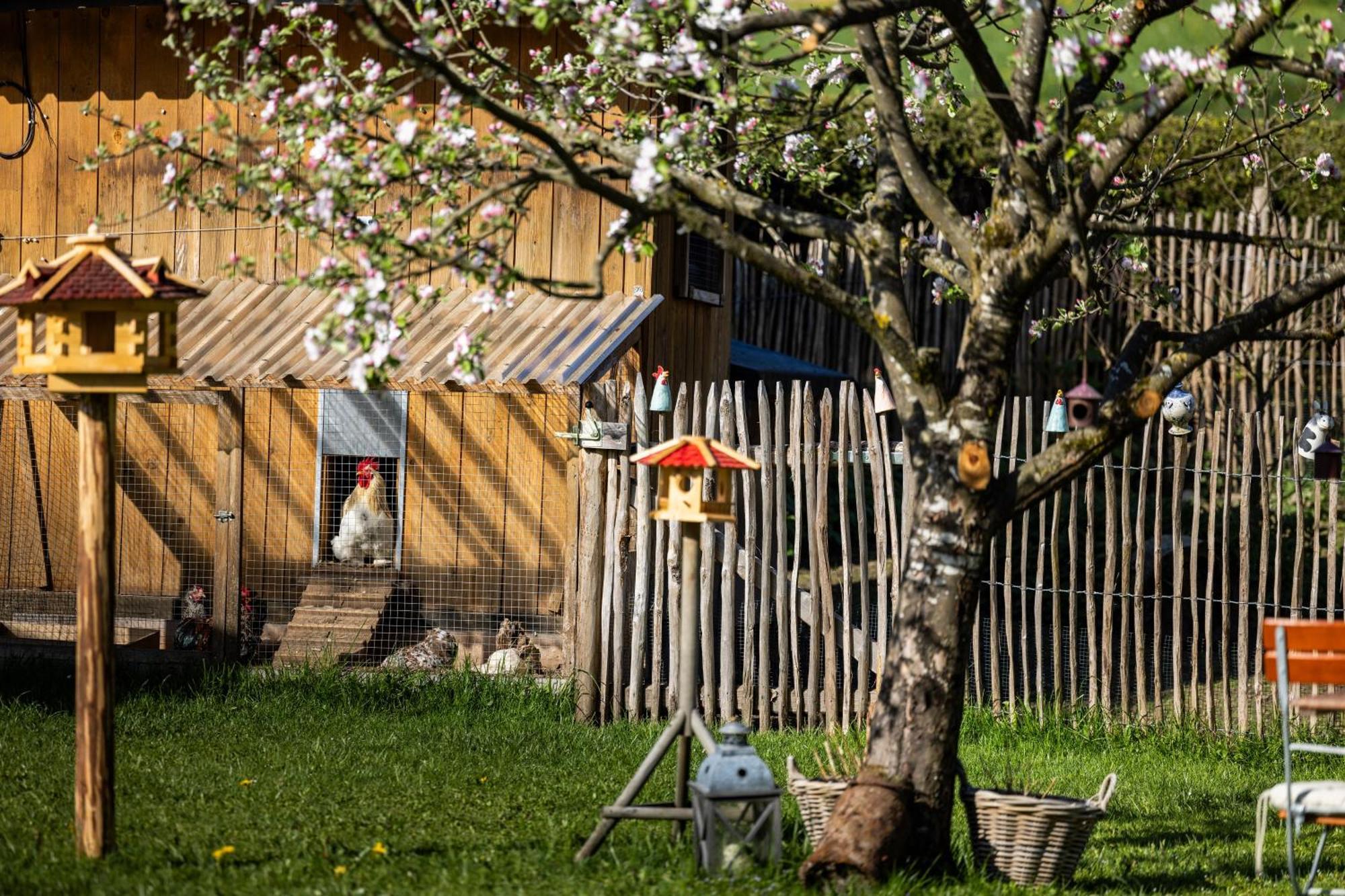 Wassererlehen Bischofswiesen Buitenkant foto