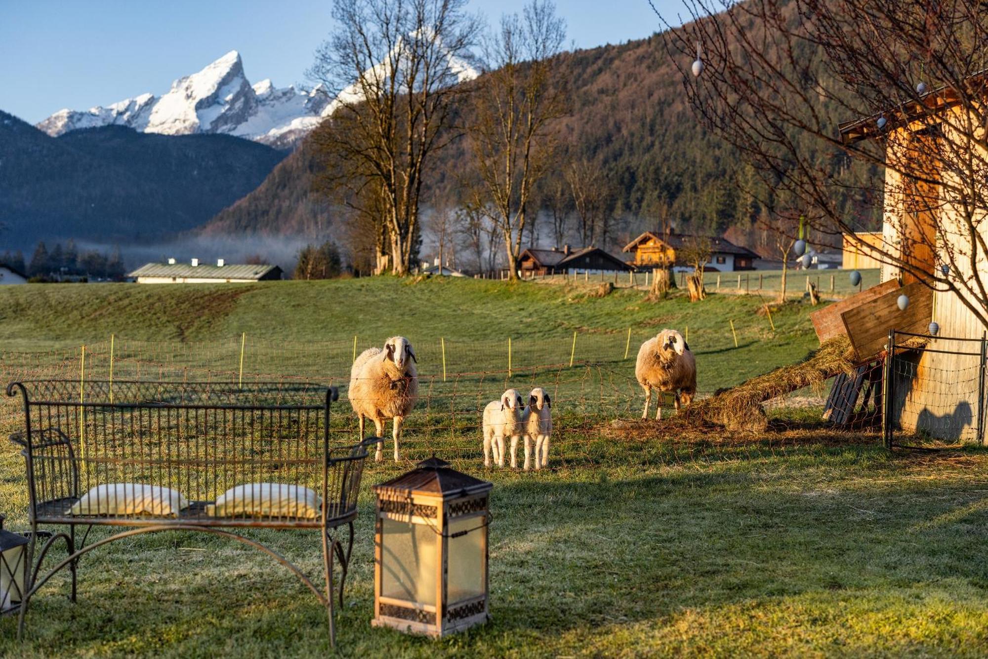 Wassererlehen Bischofswiesen Buitenkant foto